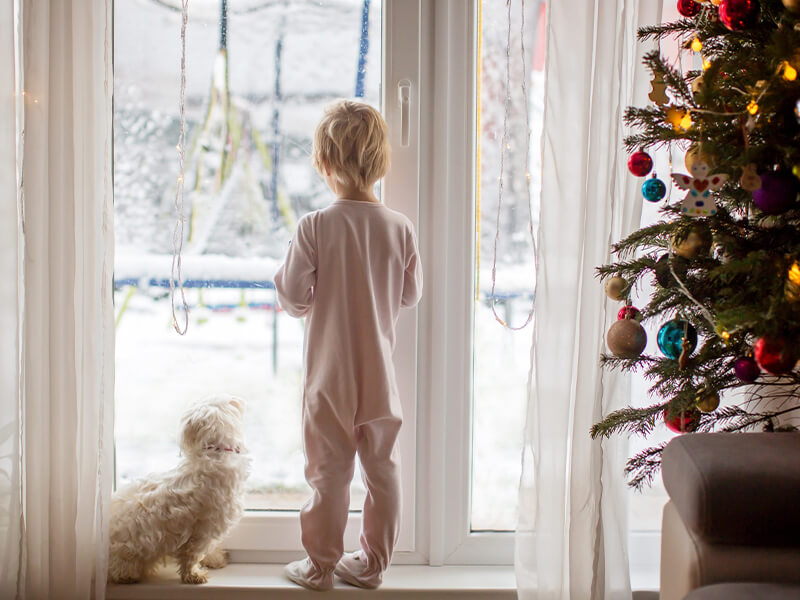 Bringnox Motorized Blinds Child Safety