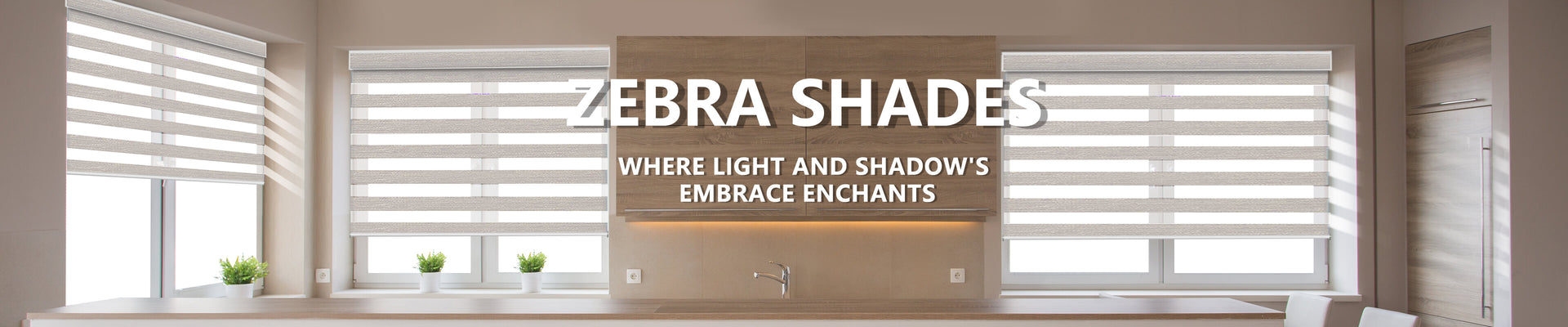 Zebra Shades Banner